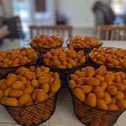 Kumquats for sale. $5 per pound Glendora Area. Picked fresh per order