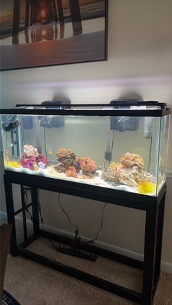 Fish tank and Stand (55 gallon)
