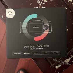 Dual Dash Cam