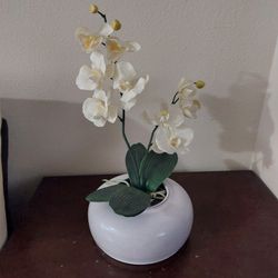 Thomas O'Brien Faux Silk Orchid