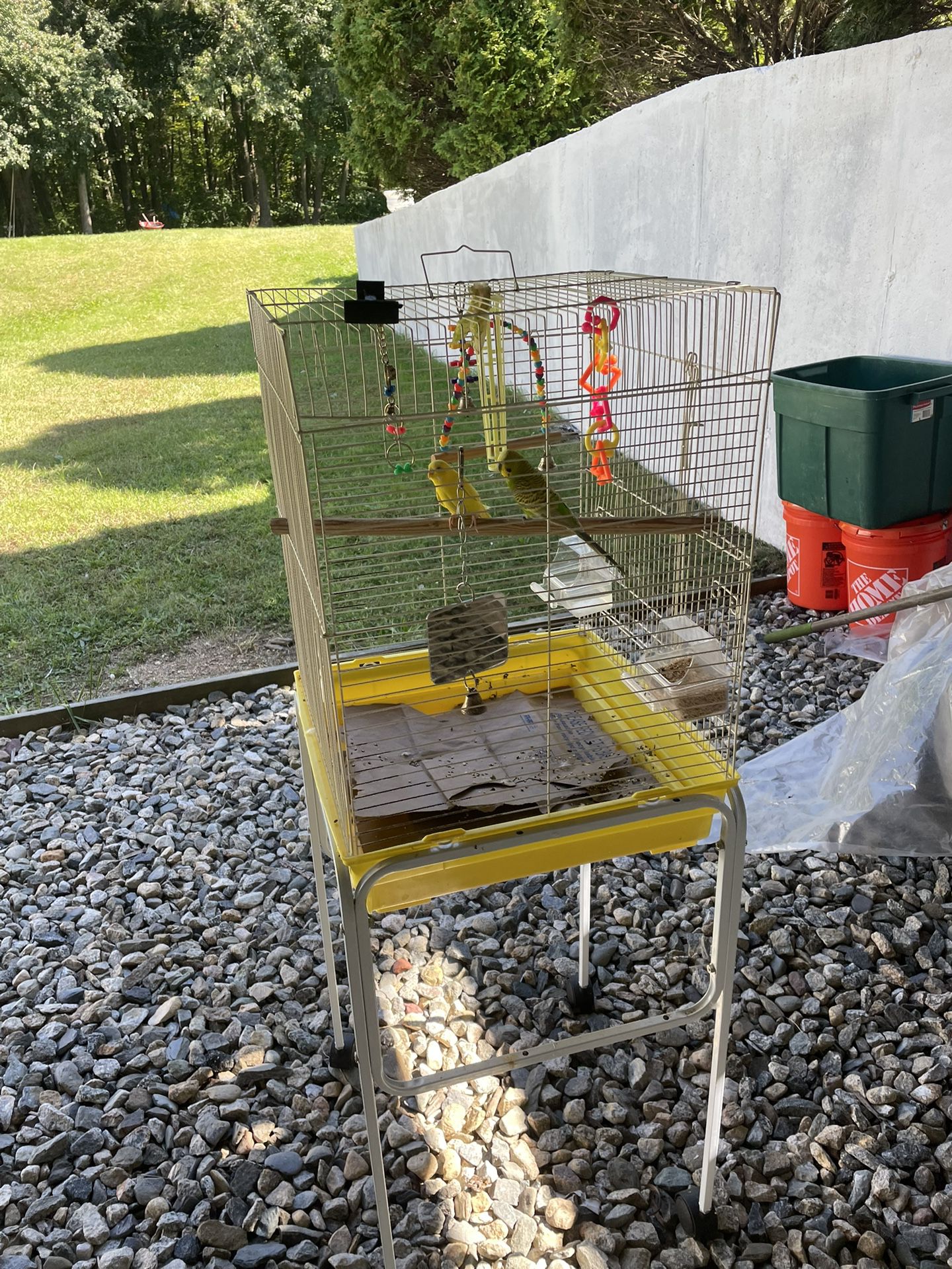 Nice Large Bird Cage With Extra 