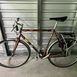 CHARGE Brand Bike (not an E-bike)