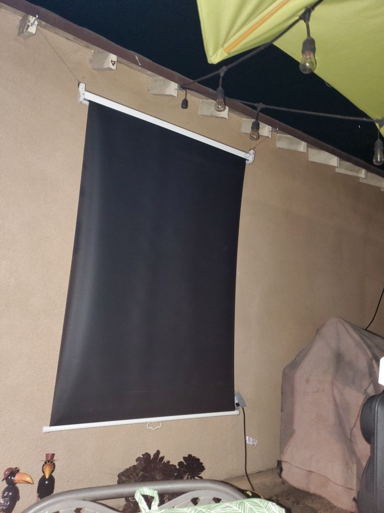 Projector Screen 30in X 50in black or white screen