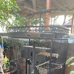 Large, Birdcage