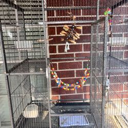 Bird Cage and Food