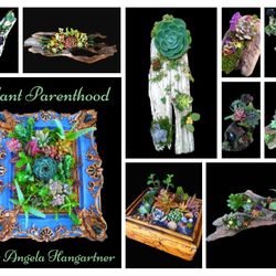 Custom Driftwood Succulent Centerpieces & More