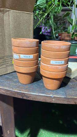 Terracota pots 2.8 inches