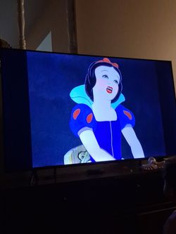 Roku tv