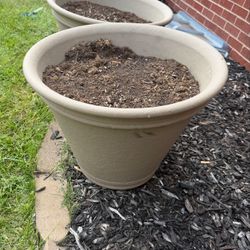 Large Pot With Soil