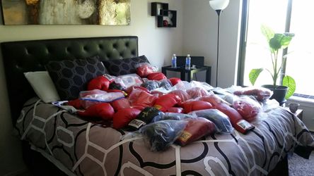 Autographed Boxing Gloves