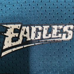  NFL REEBOK Donovan McNabb #5 Philadelphia Eagles Jersey