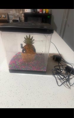 Fish tank