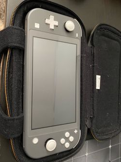 Switch lite