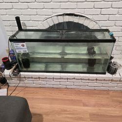 55 Inch Long Fish Tank It's Comes With Heater Brend New Filters And Brand New Heater And Uner Water Pump