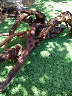 3 pieces of natural driftwood for aquariums terrariums decor