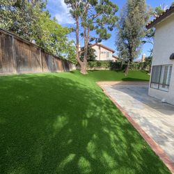 Turf
