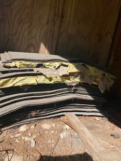 Shingles