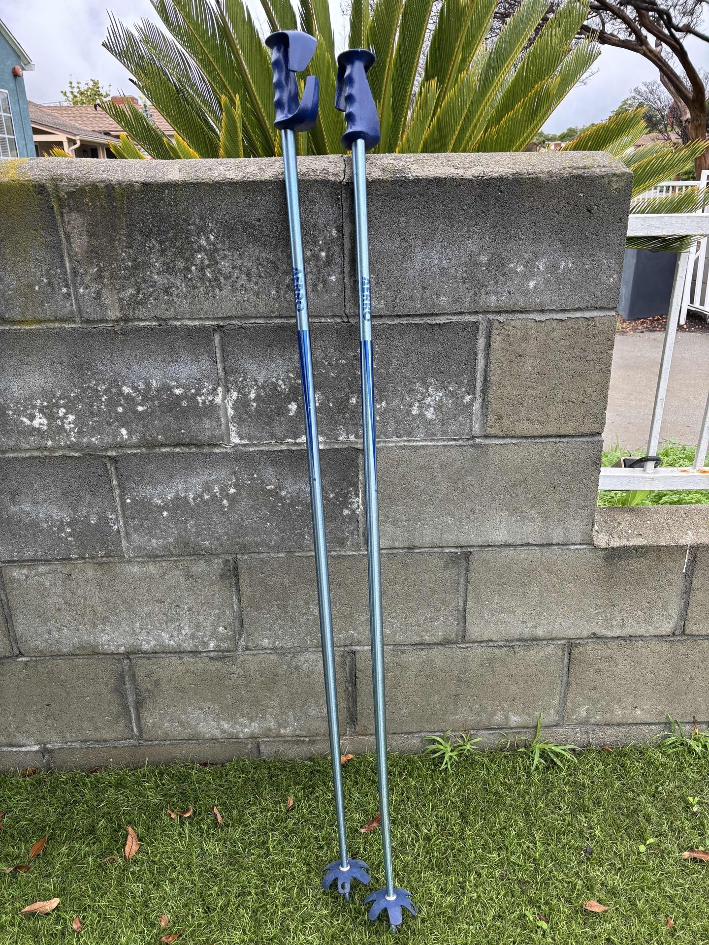 Ski Poles - 51 Inches