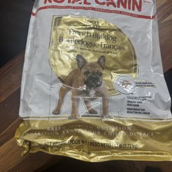 Royal Caine French Bulldogs 