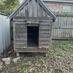 Dog House 