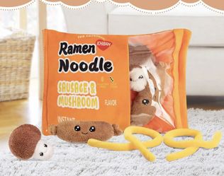 Ramen Noddle Pillows 