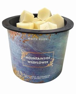 Wax Melts 4oz - Bath and Body Works - Mountainside Wildflower