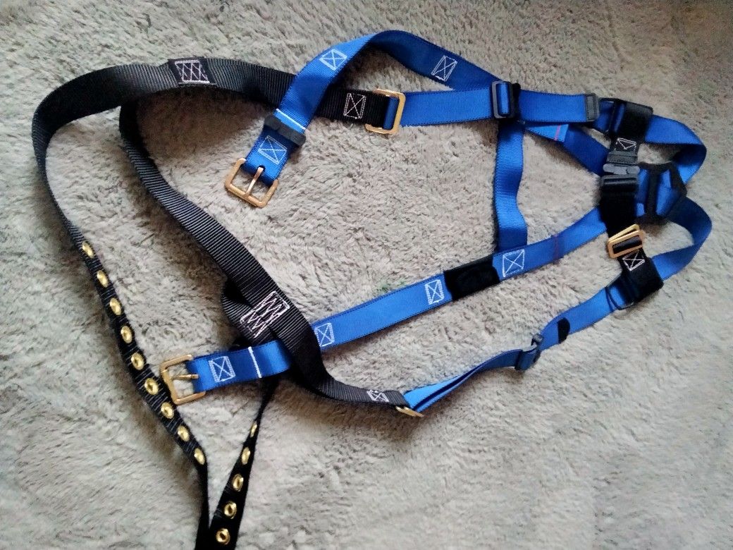 Roofing Harness