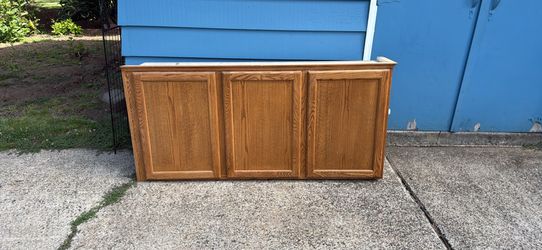 Oak cabinet -garage storage?