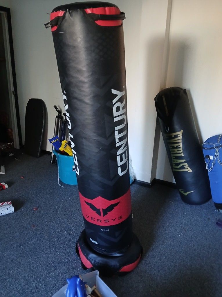 Century Punching Bag