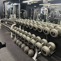 Dumbbells Troy Hammertone Cast Iron Pro Style Dumbbell
