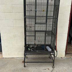 Bird Cage