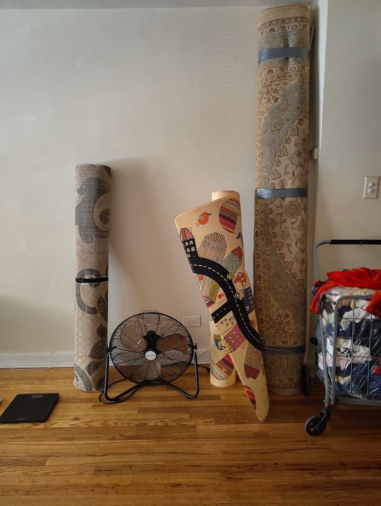 Rugs And Fan