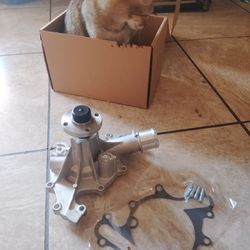 4.2 Water pump Bomba de agua