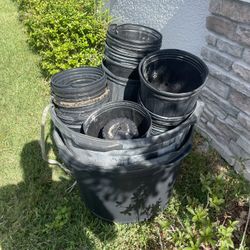 Flower Pots 