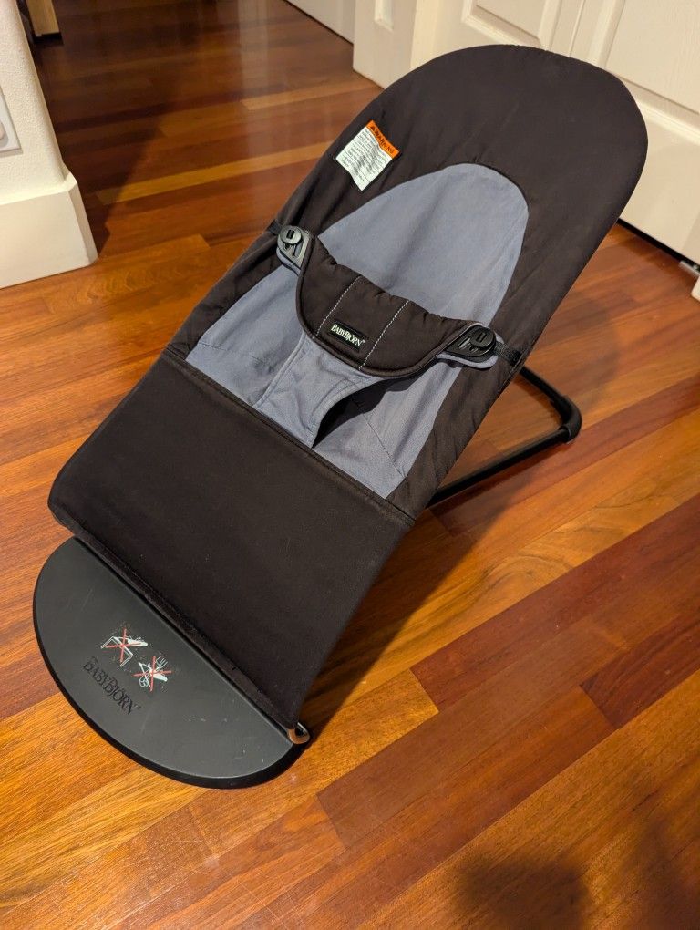 BabyBjorn Bouncer And BabyBjorn Accessories