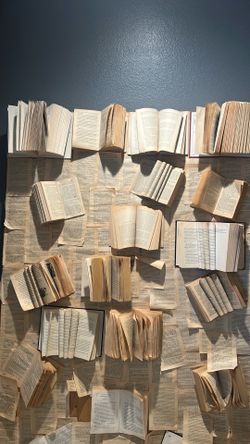 Book backdrop