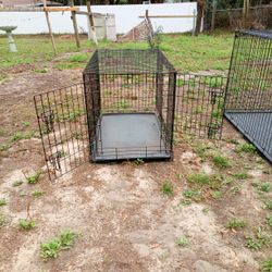 Dog Cage 