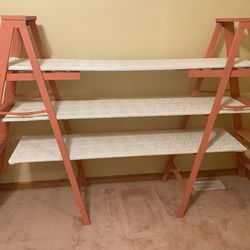 Ladder Shelves 