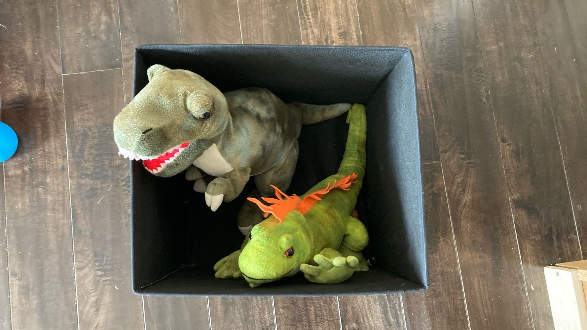 Soft Toys