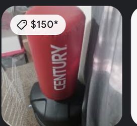 Punching Bag And Gloves