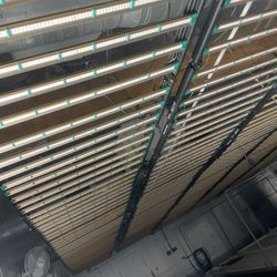 Growers Choice 720 LED lights 