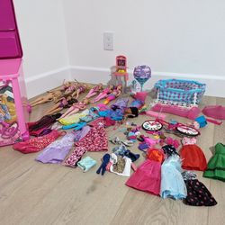 Barbie Doll And Accessories Lot