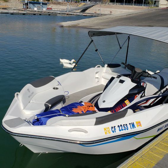 2019 Yamaha VXHO Jetski And Sealver Wave Boat