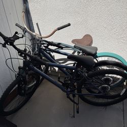 all of the bikes together