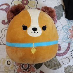 Dog Squishmallow 