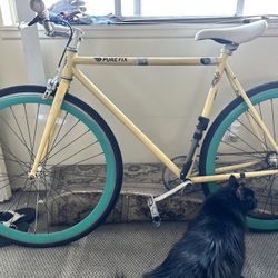 Bike For Sale, North Park 