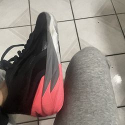 Selling Lamelos  (PICKUP ONLY)