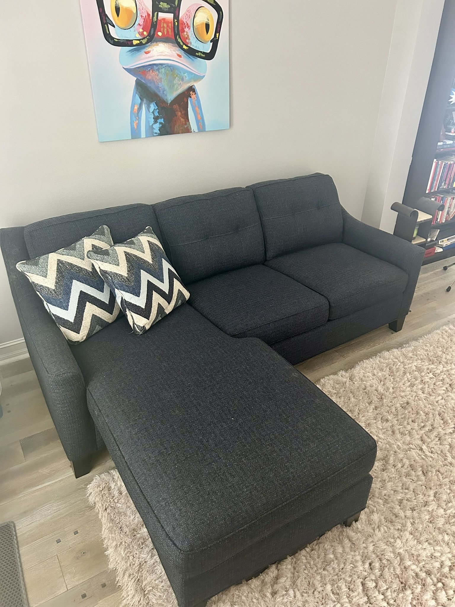 Sofa W/pull out bed & Rug