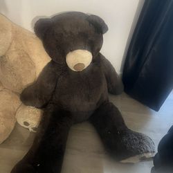 Big Teddy Bear / Oso Jigante 