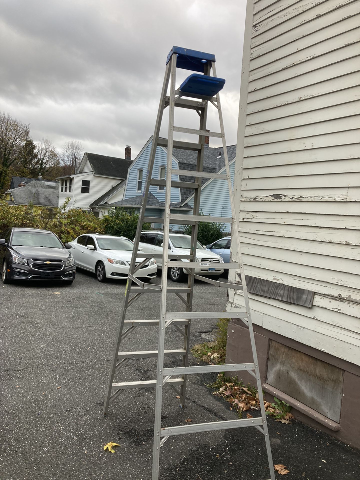 10’ Aluminum Ladder